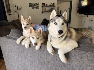 Fun Photos